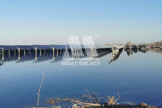 今年会渔光互补项目案例