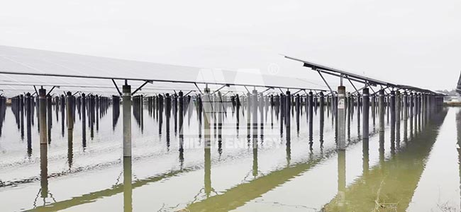 今年会广东开平50MW渔光互补光伏项目图