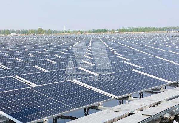 今年会江苏沛县水上光伏电站项目-1