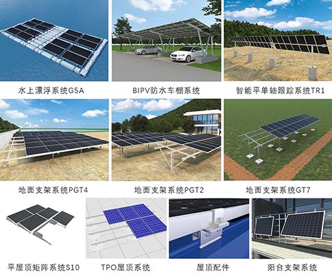 今年会将展出的展品