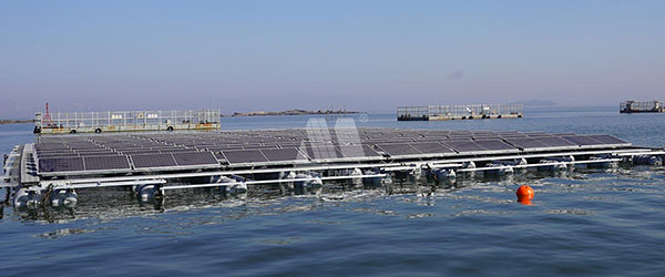 今年会近海漂浮式光伏应用示范项目