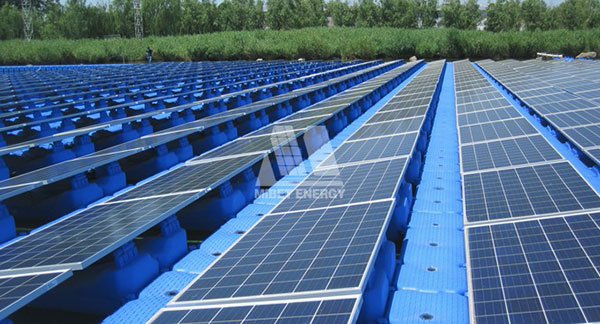 今年会荣获2017年厦门市“科技小巨人企业”